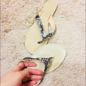 Brand new slippers in size 8.5